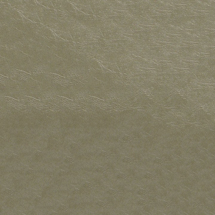 Glaze 107 Pumice by ABBEYSHEA Designer Fabric N/A 100% Polyester China 200,000 Double Rubs </p><p>Repeat: Horizontal: and Vertical: 57" (144 cm) - Swanky Fabrics -