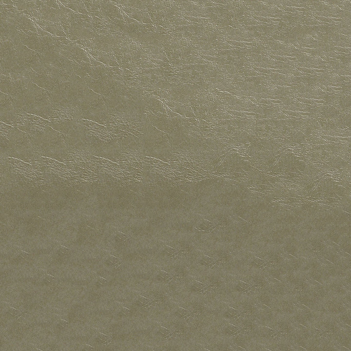 Glaze 107 Pumice by ABBEYSHEA Fabric N/A 100% Polyester China 200,000 Double Rubs </p><p>Repeat: Horizontal: and Vertical: 57" (144 cm) - Fabric Carolina -