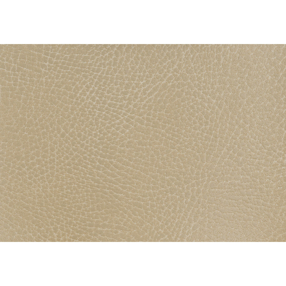 Glendale-106 by Kravet Design Fabric ULTRALEATHER PLUS IV POLYURETHANE - 100% Japan HEAVY Horizontal: 4.72 and Vertical: 7.87 54 - Fabric Carolina -