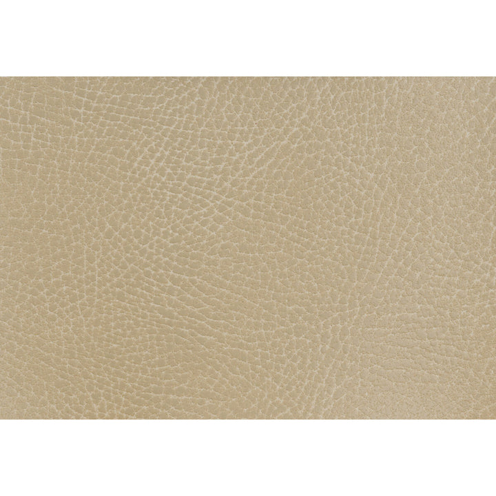 Glendale-106 by Kravet Design Fabric ULTRALEATHER PLUS IV POLYURETHANE - 100% Japan HEAVY Horizontal: 4.72 and Vertical: 7.87 54 - Fabric Carolina -