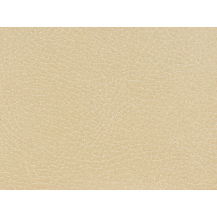 Glendale-111 by Kravet Design Fabric ULTRALEATHER PLUS IV POLYURETHANE - 100% Japan HEAVY Horizontal: 4.72 and Vertical: 7.87 54 - Fabric Carolina -