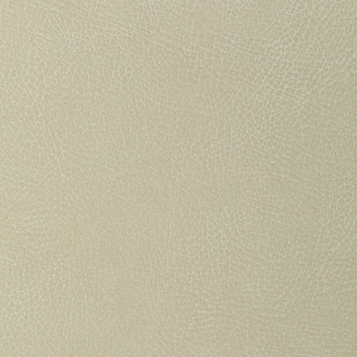 Glendale-111 by Kravet Design Fabric POLYURETHANE - 100% Japan HEAVY Horizontal: 10.5 and Vertical: 8 54 - Fabric Carolina -