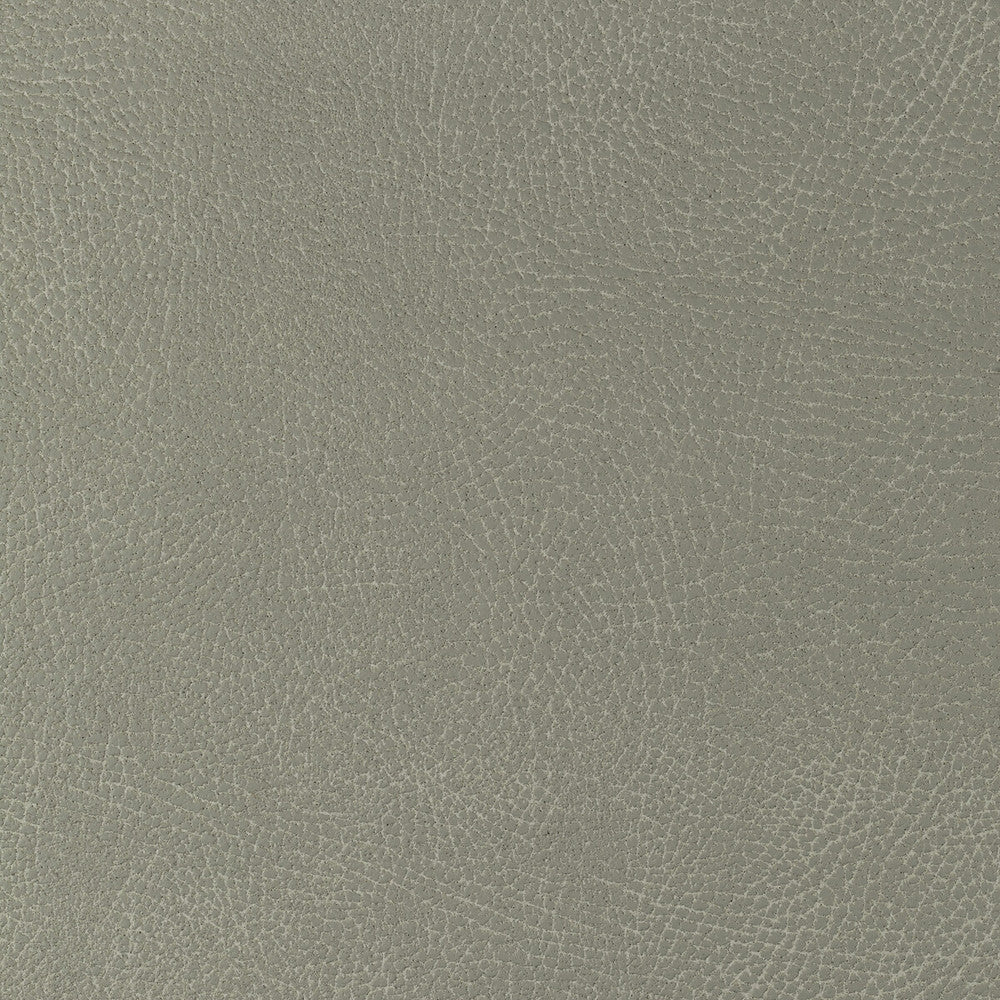 Glendale-1121 by Kravet Design Fabric POLYURETHANE - 100% Japan HEAVY Horizontal: 10.5 and Vertical: 8 54 - Fabric Carolina -