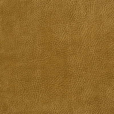 Kravet Design Glendale-116 by Kravet Design Fabric Kravet Design Fabric Kravet Design Glendale-116Fabric POLYURETHANE - 100% Japan </p><p>Repeat: H: 10.5, V: 8 54 - Fabric Carolina -