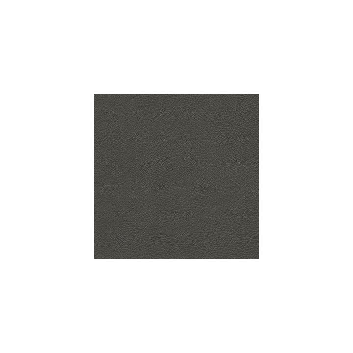 Glendale-11 by Kravet Design Fabric ULTRALEATHER PLUS IV POLYURETHANE - 100% Japan HEAVY Horizontal: 4.72 and Vertical: 7.87 54 - Fabric Carolina -