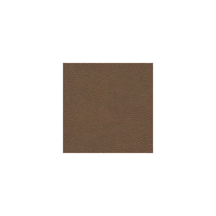 Glendale-1616 by Kravet Design Fabric ULTRALEATHER PLUS IV POLYURETHANE - 100% Japan HEAVY Horizontal: 4.72 and Vertical: 7.87 54 - Fabric Carolina -