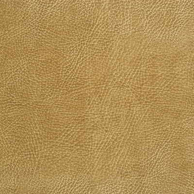 Glendale-16 by Kravet Design Fabric ULTRALEATHER PLUS IV POLYURETHANE - 100% Japan HEAVY Horizontal: 4.72 and Vertical: 7.87 54 - Fabric Carolina -
