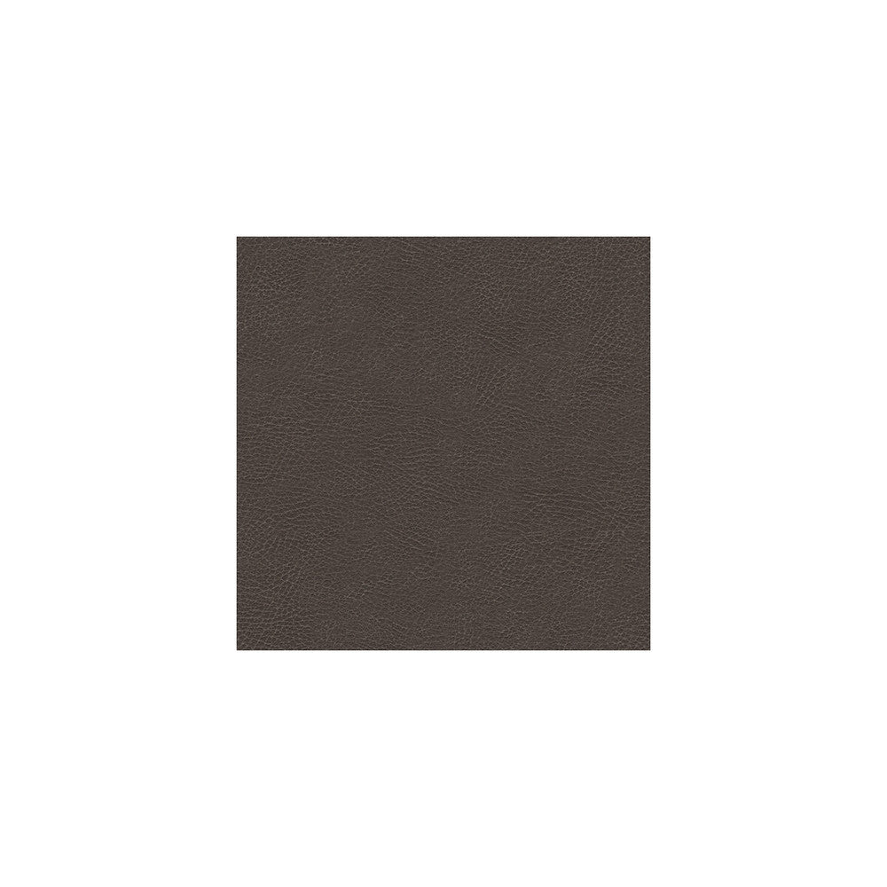 Glendale-21 by Kravet Design Fabric ULTRALEATHER PLUS IV POLYURETHANE - 100% Japan HEAVY Horizontal: 4.72 and Vertical: 7.87 54 - Fabric Carolina -
