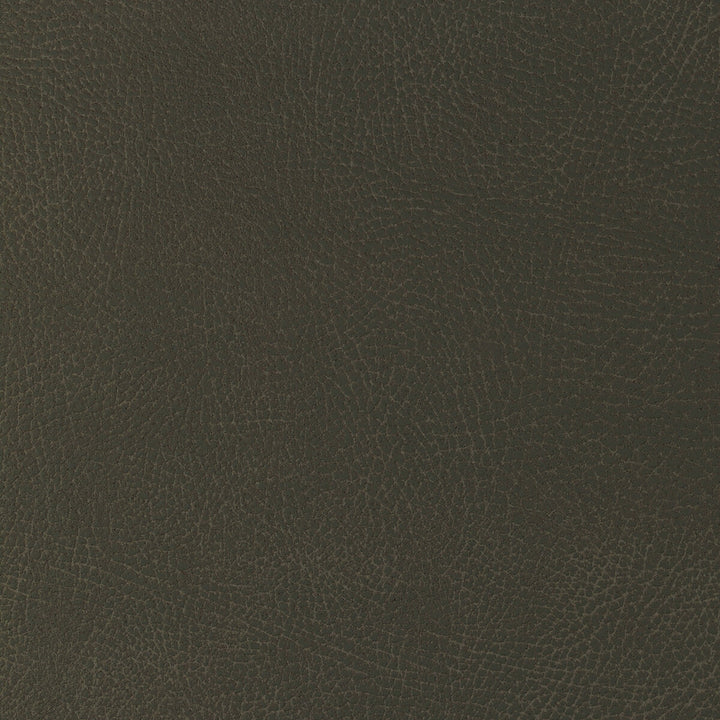 Glendale-21 by Kravet Design Fabric POLYURETHANE - 100% Japan HEAVY Horizontal: 10.5 and Vertical: 8 54 - Fabric Carolina -