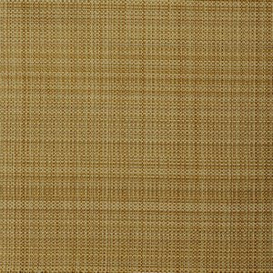 Glendale Sand by Norbar Fabric See Sample 100% BELLA DURA POLYOLEFIN USA 100,000 WYZENBEEK 54 - Fabric Carolina -