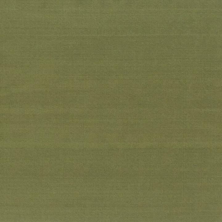 Glint 24 Olive by Stout Fabric DUPIONI SILKS 100%SLK INDIA </p><p>Repeat: 0 54 in - Fabric Carolina -