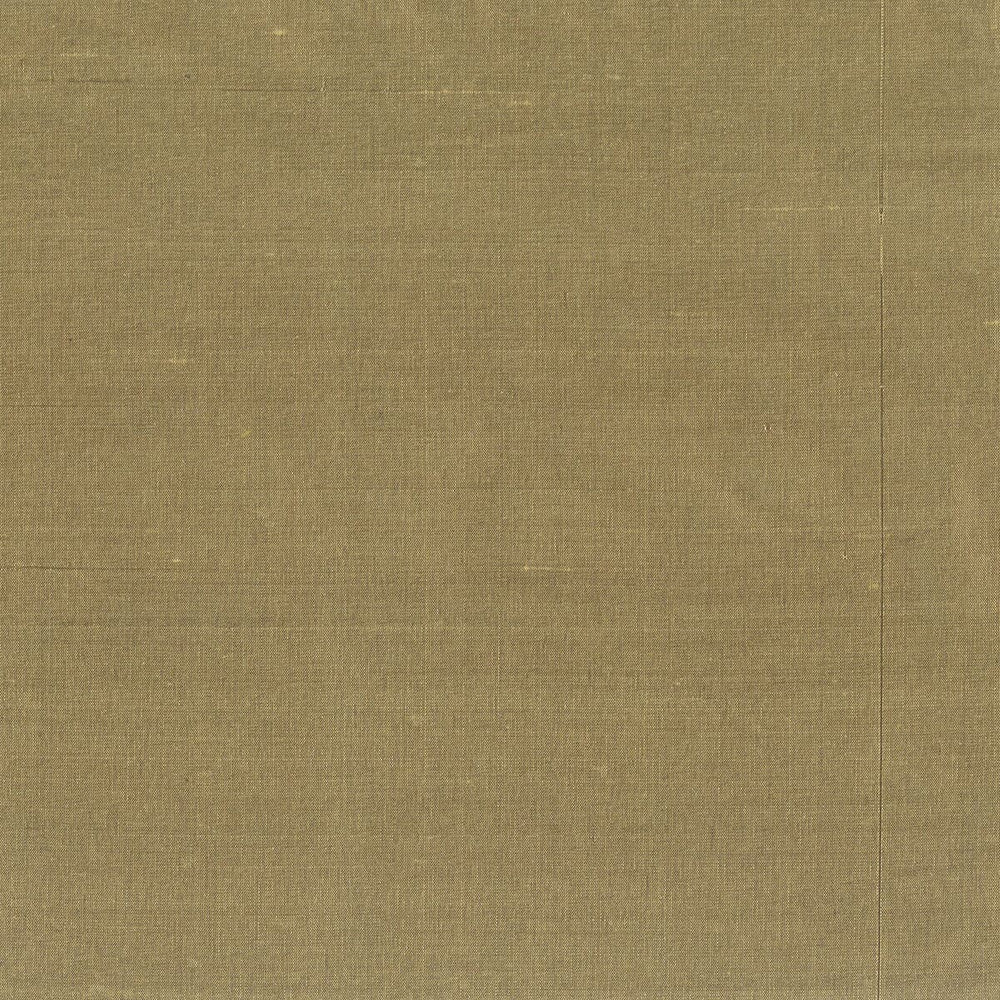 Glint 3 Truffle by Stout Fabric DUPIONI SILKS 100%SLK INDIA </p><p>Repeat: 0 54 in - Fabric Carolina -