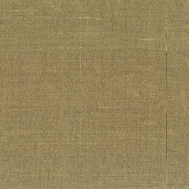 Glint 3 Truffle by Stout Fabric DUPIONI SILKS 100%SLK INDIA Horizontal: 0 and Vertical: 0 54 in - Fabric Carolina -