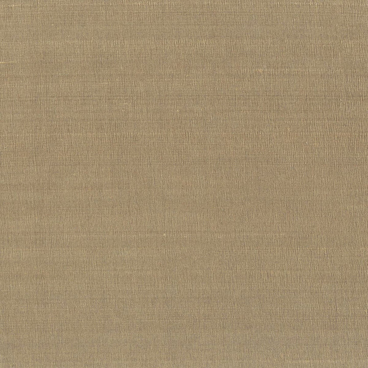 Glint 40 Sesame by Stout Fabric DUPIONI SILKS 100%SLK INDIA Horizontal: 0 and Vertical: 0 54 in - Fabric Carolina -