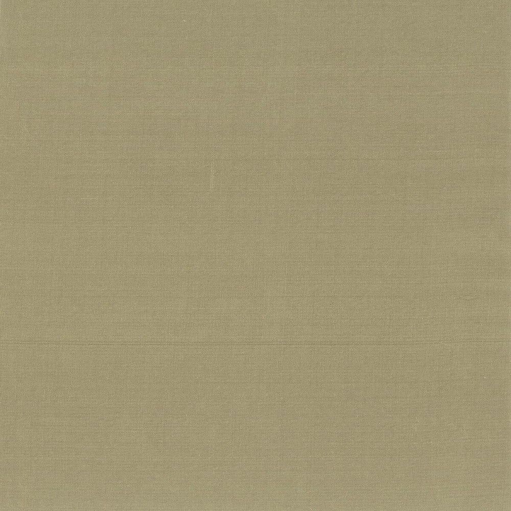 Glint 65 Sage by Stout Fabric DUPIONI SILKS 100%SLK INDIA Horizontal: 0 and Vertical: 0 54 in - Fabric Carolina -