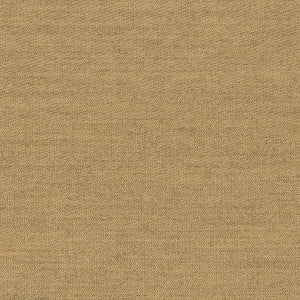 Globe 4 Sandlewood by Sunbrella Fabric