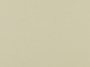 Glynn Linen 101 Antique White by Covington Fabric