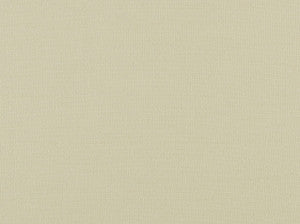 Glynn Linen 101 Antique White by Covington Fabric