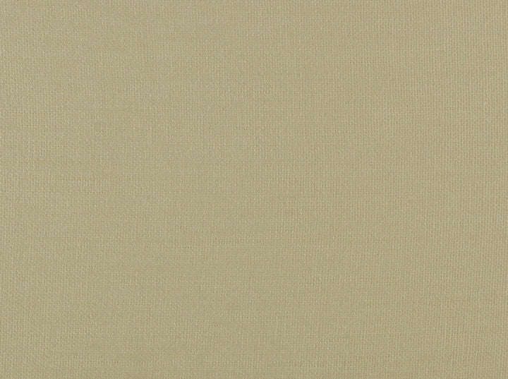 Glynn Linen 18 Oyster by Covington Designer Fabric Covington Right 41.5 62.25 0 0 by product