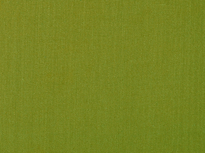 Glynn Linen 208 Apple Green by Covington Designer Fabric Covington Right 41.5 62.25 0 0 by product