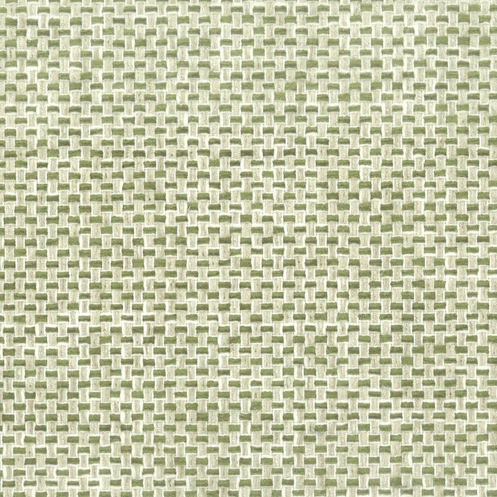 Golf 2 Fern by Stout Fabric COMFORTABLE LIVING ALOE/FERN 36%COT 64%POL INDIA CATB 117-2013 WYZENBEEK 100 000 DOUBLE RUB WEAR TEST (HEAVY DUTY) Horizontal: 2 and Vertical: 0 54 in - Fabric Carolina -