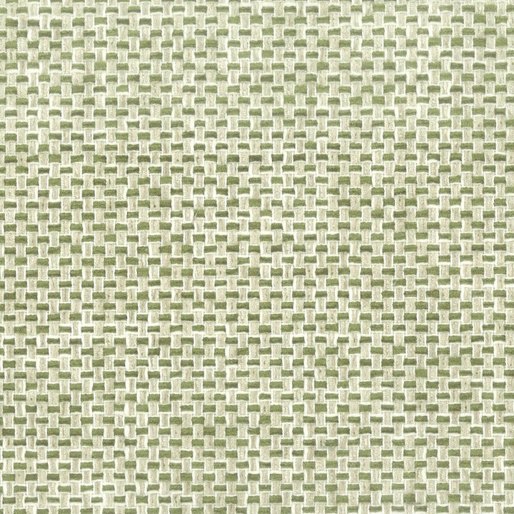 Golf 2 Fern by Stout Fabric Stout Fabric Golf 2 FernFabric COMFORTABLE LIVING ALOE/FERN INDIA </p><p>Repeat: H: 2.000, V: 0.000 54 in - Fabric Carolina -