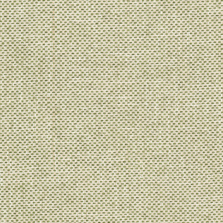 Golf 2 Fern by Stout Fabric Stout Fabric Golf 2 FernFabric Comfortable Living Aloe/Fern 36%Cot 64%Pol India </p><p>Repeat: H: 2, V: 0.25 54 in - Fabric Carolina -