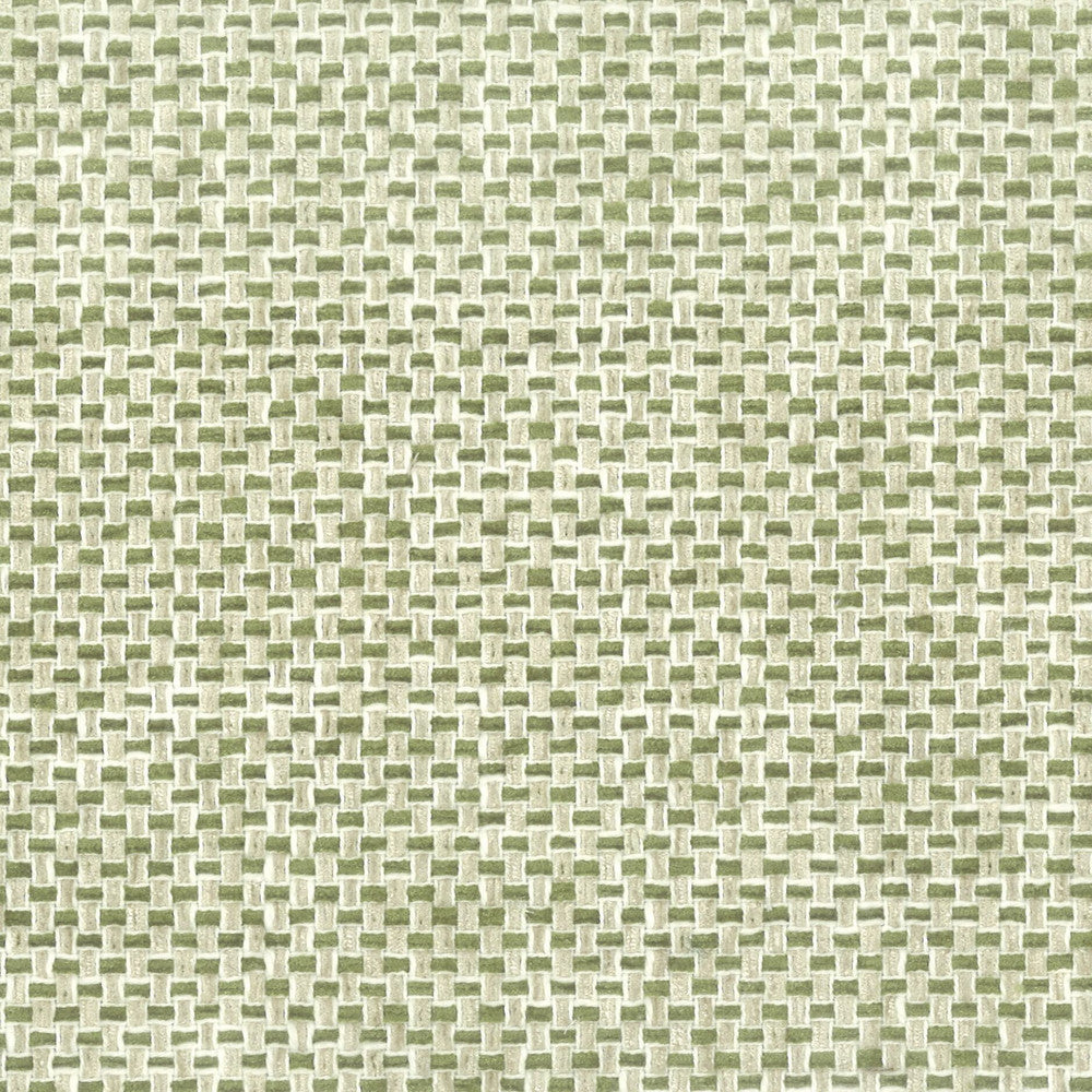 Golf 2 Fern by Stout Designer Fabric COMFORTABLE LIVING ALOE/FERN 36%COT 64%POL INDIA CATB 117-2013 WYZENBEEK 100 000 DOUBLE RUB WEAR TEST (HEAVY DUTY) Horizontal: 2 and Vertical: 0 54 in - Swanky Fabrics -