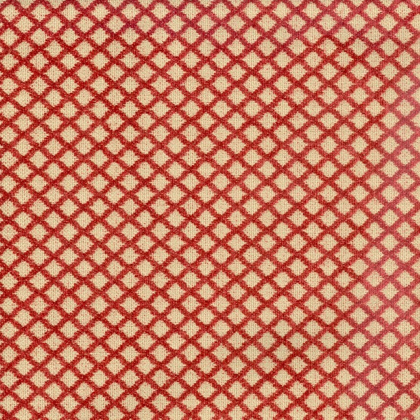 Gopala Persimmon by Magnolia Fabric - 44Ctn/33Poly/23Ray China 12000 Horizontal: 0.5 and Vertical: 0.5 54" - Fabric Carolina -