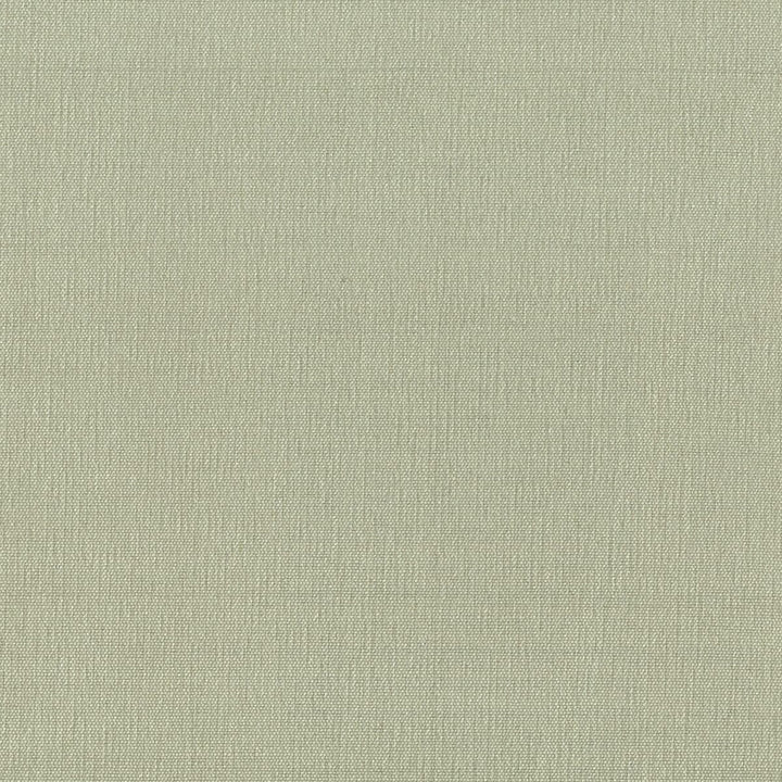 Gorgeous 12 Vapor by Stout Fabric Softer Side Faux Silk 80% Spun Viscose 20% Polyester INDIA Horizontal: 0 and Vertical: 0 54 in - Fabric Carolina -