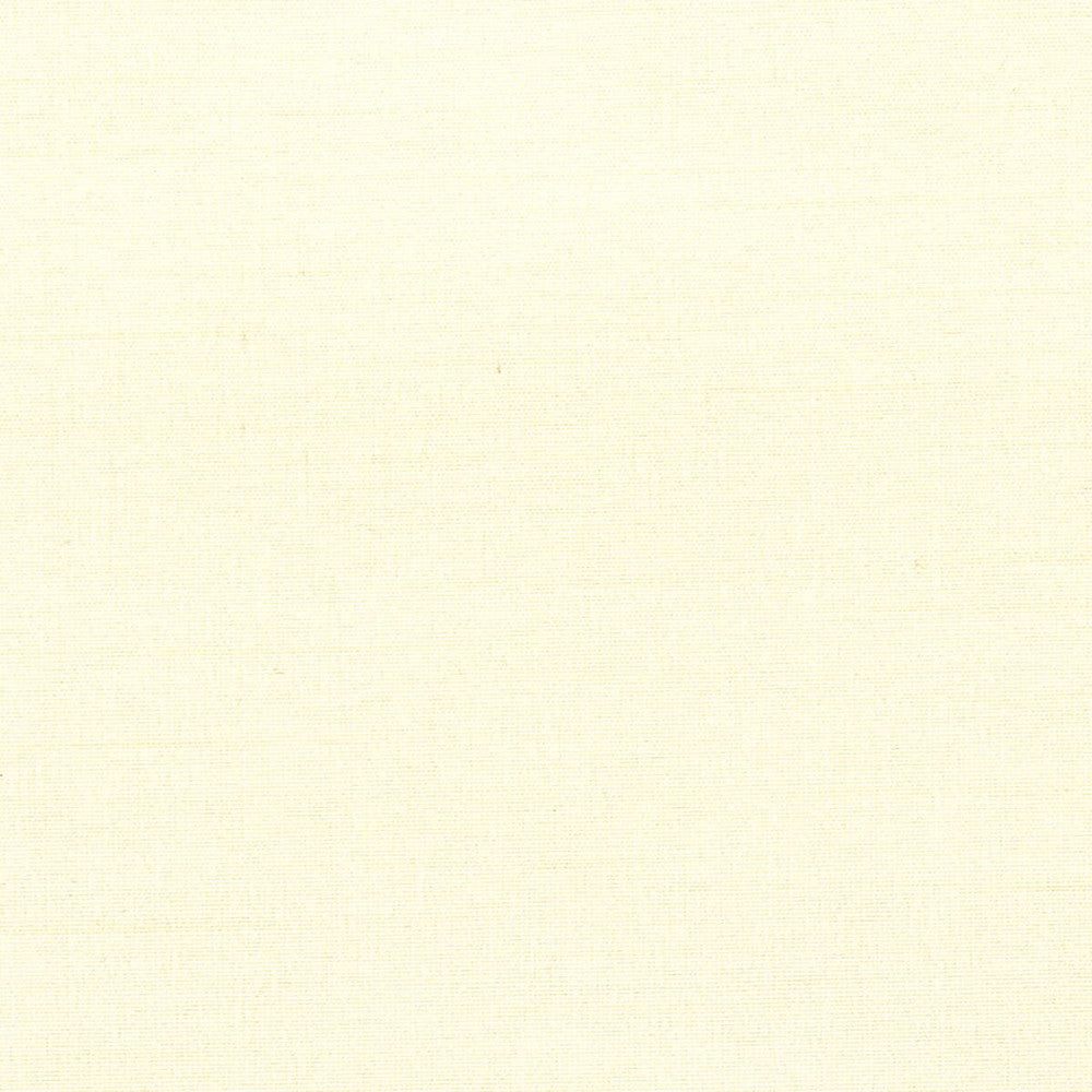 Gorgeous 13 Vanilla by Stout Fabric Softer Side Faux Silk 80% Spun Viscose 20% Polyester INDIA Horizontal: 0 and Vertical: 0 54 in - Fabric Carolina -
