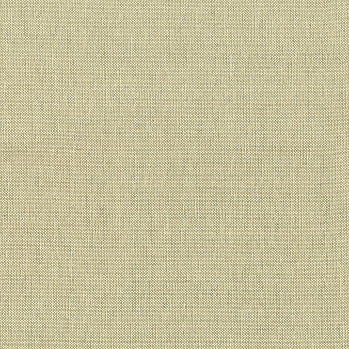 Gorgeous 15 Pumice by Stout Fabric SOFTER SIDE FAUX SILK 80%SVI 20%POL INDIA </p><p>Repeat: 0 54 in - Fabric Carolina -