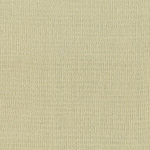 Gorgeous 15 Pumice by Stout Fabric