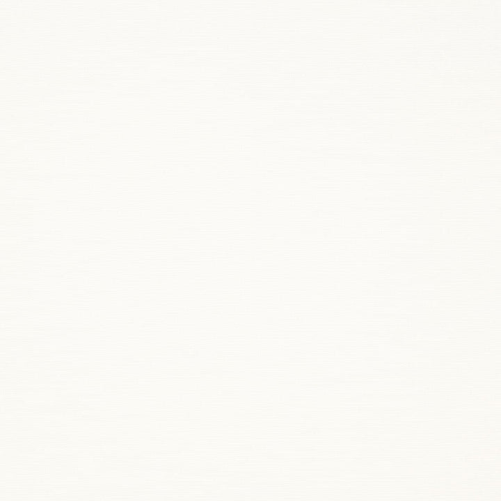 Gorgeous 1 Snow by Stout Fabric SOFTER SIDE FAUX SILK 80%SVI 20%POL INDIA Horizontal: 0 and Vertical: 0 54 in - Fabric Carolina -
