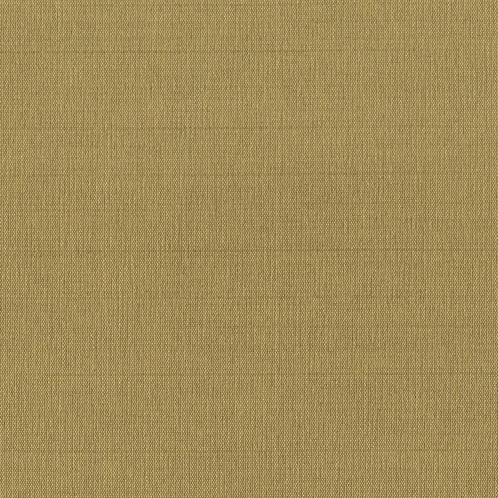 Gorgeous 24 Lion by Stout Fabric Softer Side Faux Silk 80% Spun Viscose 20% Polyester INDIA Horizontal: 0 and Vertical: 0 54 in - Fabric Carolina -