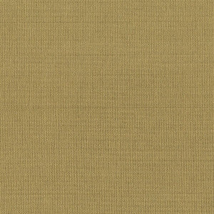 Gorgeous 24 Lion by Stout Fabric