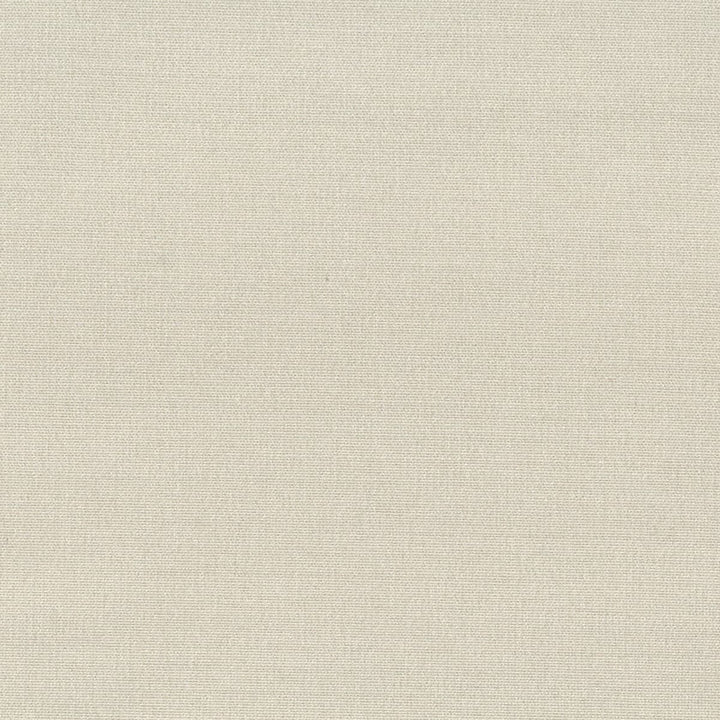 Gorgeous 28 Oyster by Stout Fabric SOFTER SIDE FAUX SILK 80%SVI 20%POL INDIA </p><p>Repeat: 0 54 in - Fabric Carolina -