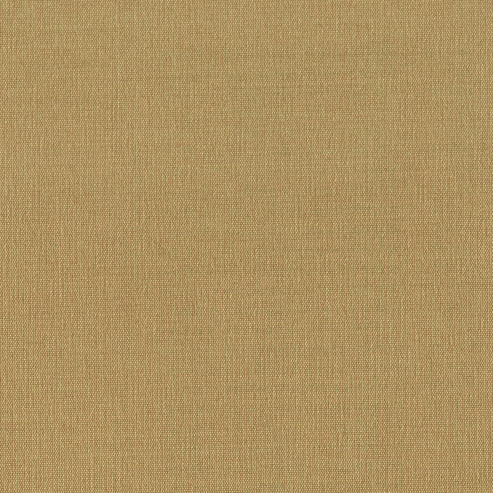 Gorgeous 36 Cornhusk by Stout Fabric SOFTER SIDE FAUX SILK 80%SVI 20%POL INDIA Horizontal: 0 and Vertical: 0 54 in - Fabric Carolina -