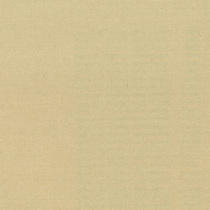 Gorgeous 40 Chamomile by Stout Fabric SOFTER SIDE FAUX SILK 80%SVI 20%POL INDIA </p><p>Repeat: 0 54 in - Fabric Carolina -