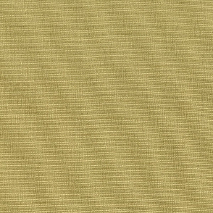 Gorgeous 41 Pear by Stout Fabric SOFTER SIDE FAUX SILK 80%SVI 20%POL INDIA Horizontal: 0 and Vertical: 0 54 in - Fabric Carolina -