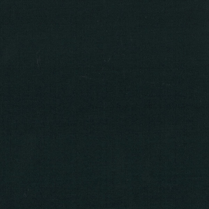 Gorgeous 47 Onyx by Stout Fabric SOFTER SIDE FAUX SILK 80%SVI 20%POL INDIA </p><p>Repeat: 0 54 in - Fabric Carolina -
