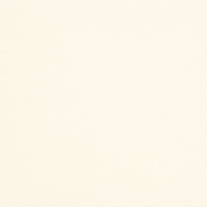 Gorgeous 8 Eggshell by Stout Fabric SOFTER SIDE FAUX SILK 80%SVI 20%POL INDIA Horizontal: 0 and Vertical: 0 54 in - Fabric Carolina -