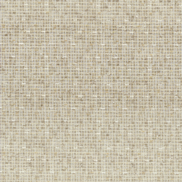 Gortham 3 Raffia by Stout Fabric LIVING IS EASY SALT/SANDSTONE 44%OLE 34%POL 22%COT USA PERFORMANCE RATED FABRIC FLAME RETARDANT-N.F.P.A. 260A CLASS 1 CATB 117-2013 WYZENBEEK 90 000 DOUBLE RUB WEAR TEST (HEAVY DUTY) Horizontal: 2.875 and Vertical: 3.5 54 in - Fabric Carolina -