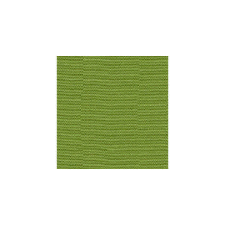 Canvas Ginkgo by Kravet Design Designer Fabric SOLEIL COLLECTION SOLUTION DYED ACRYLIC - 100% United States MEDIUM Horizontal: 0 and Vertical: 0 54 - Swanky Fabrics -