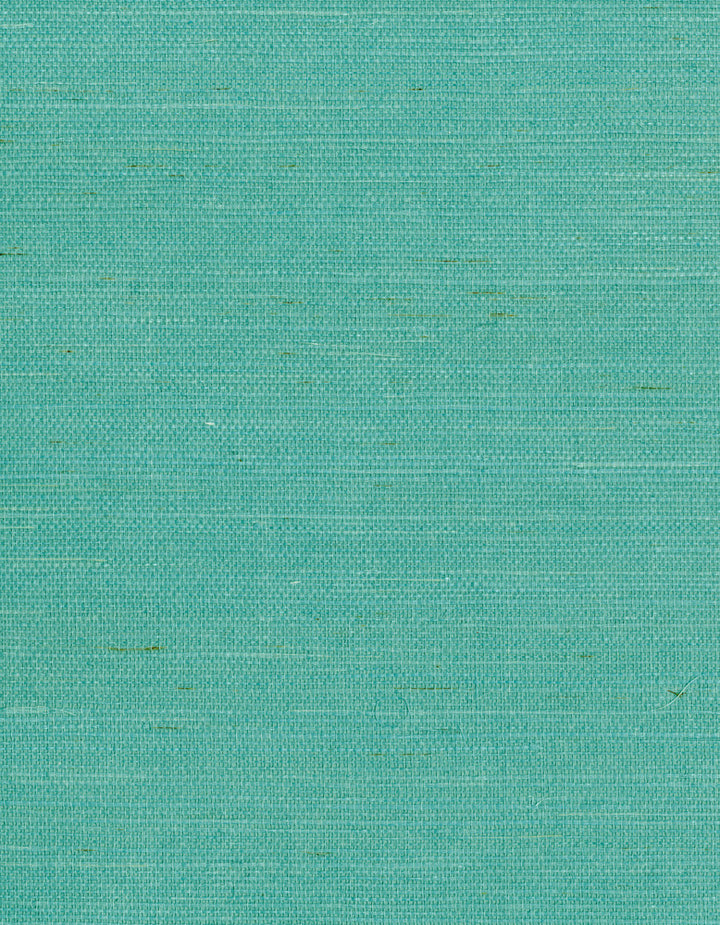 by Ronald Redding Grasscloth Resource - Fabric Carolina -