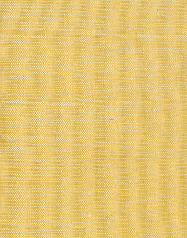 by Ronald Redding Grasscloth Resource - Fabric Carolina -