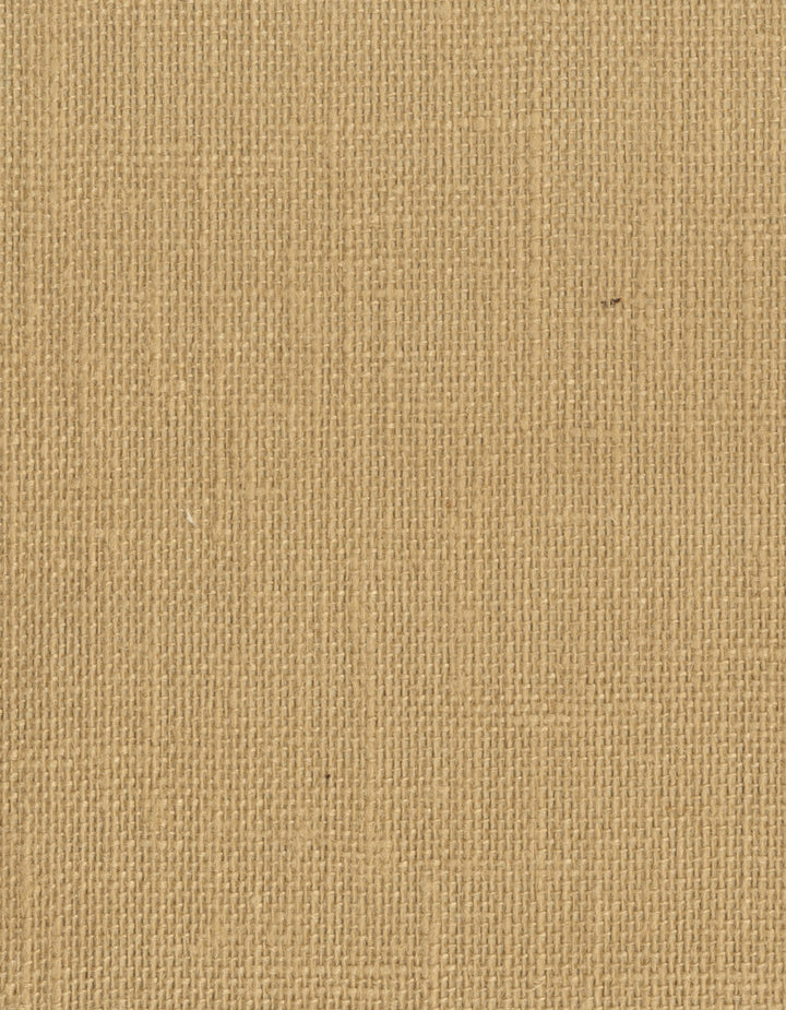 by Ronald Redding Grasscloth Resource - Fabric Carolina -