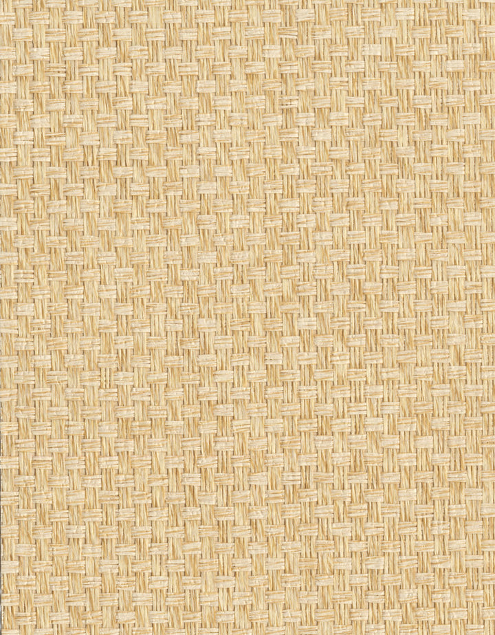 by Ronald Redding Grasscloth Resource - Fabric Carolina -