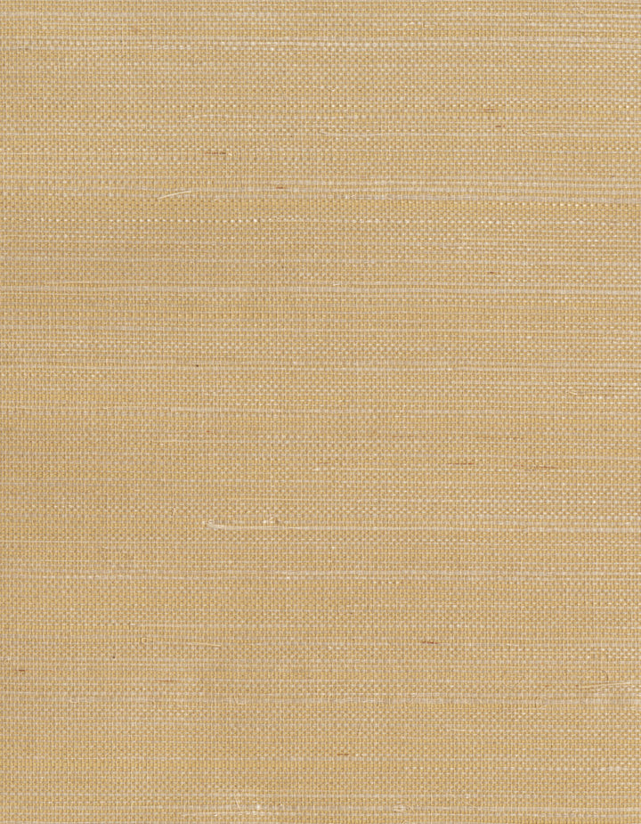 by Ronald Redding Grasscloth Resource - Fabric Carolina -