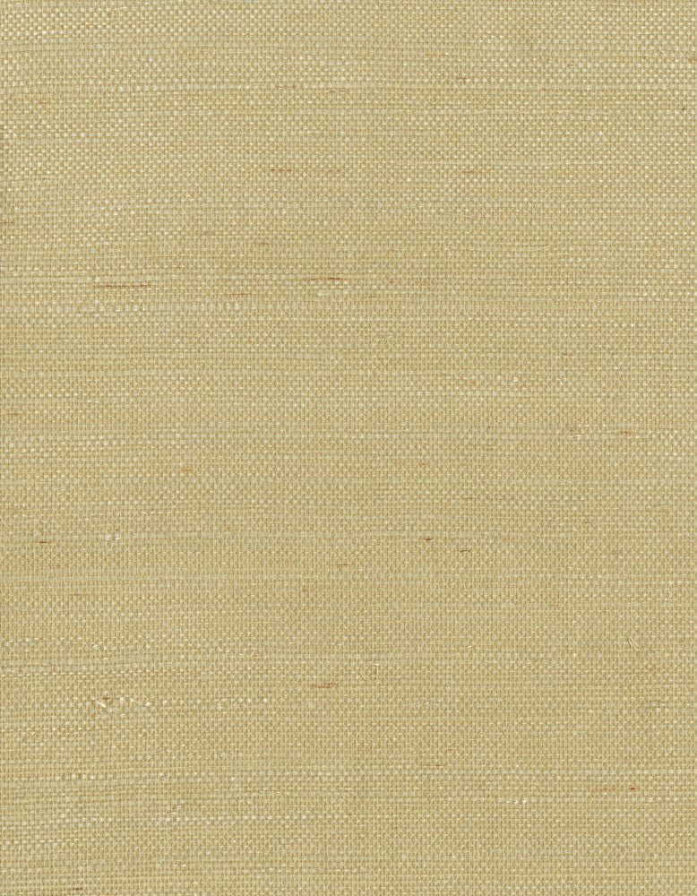 by Ronald Redding Grasscloth Resource - Fabric Carolina -
